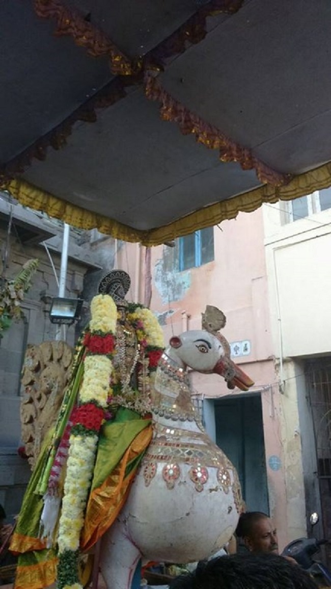 Mylapore Sri Adikesava Perumal Temple Rathasapthami Purappadu1