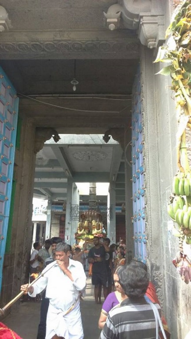 Mylapore Sri Adikesava Perumal Temple Rathasapthami Purappadu7