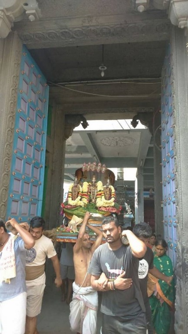 Mylapore Sri Adikesava Perumal Temple Rathasapthami Purappadu8