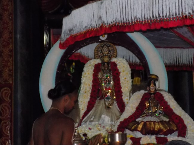 Nanganallur Sri Lakshmi Narasimhar Navaneetha Krishnan Temple Rathasapthami Purappadu12