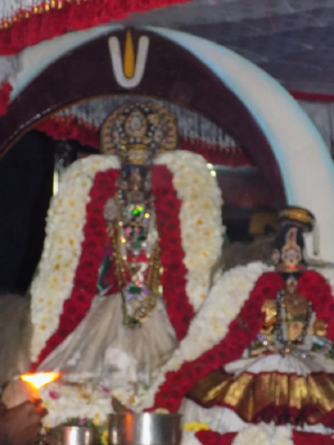Nanganallur Sri Lakshmi Narasimhar Navaneetha Krishnan Temple Rathasapthami Purappadu13