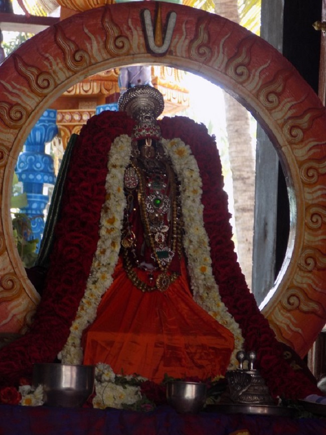 Nanganallur Sri Lakshmi Narasimhar Navaneetha Krishnan Temple Rathasapthami Purappadu4