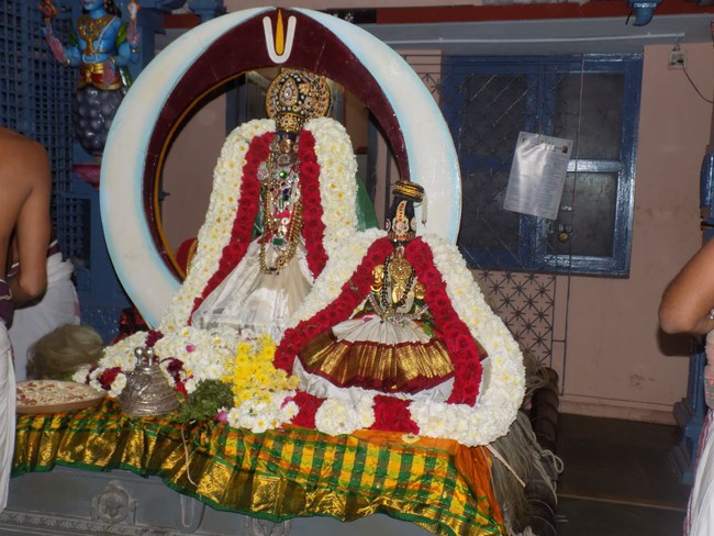 Nanganallur Sri Lakshmi Narasimhar Navaneetha Krishnan Temple Rathasapthami Purappadu5