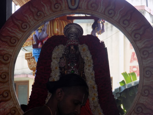 Nanganallur Sri Lakshmi Narasimhar Navaneetha Krishnan Temple Rathasapthami Purappadu7