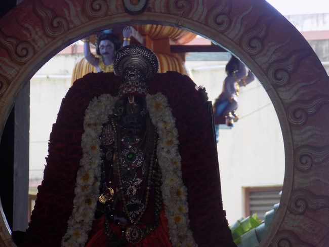 Nanganallur Sri Lakshmi Narasimhar Navaneetha Krishnan Temple Rathasapthami Purappadu8