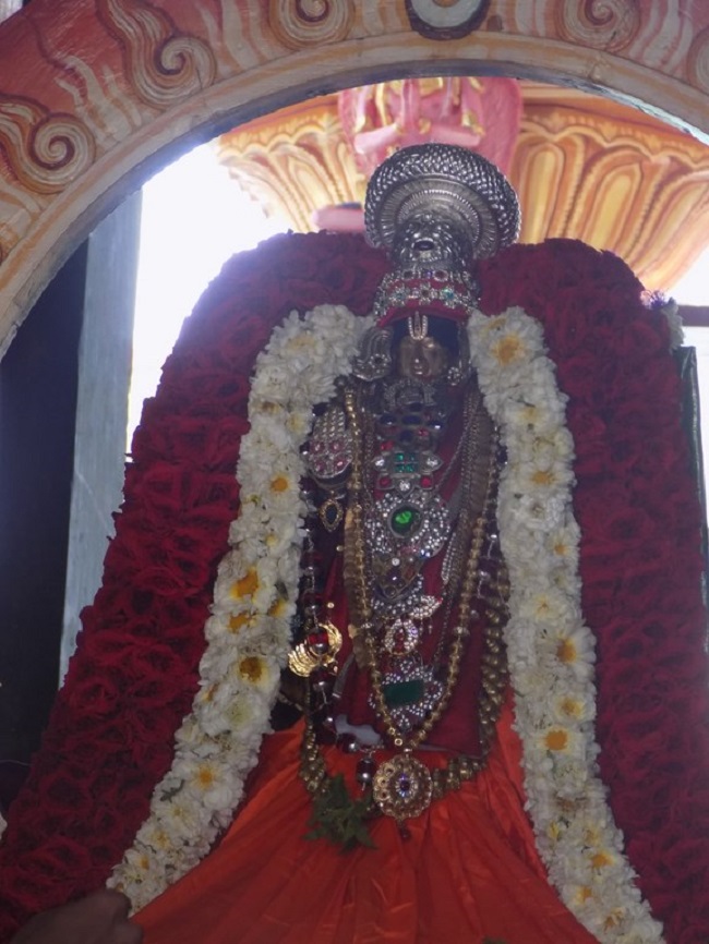 Nanganallur Sri Lakshmi Narasimhar Navaneetha Krishnan Temple Rathasapthami Purappadu9
