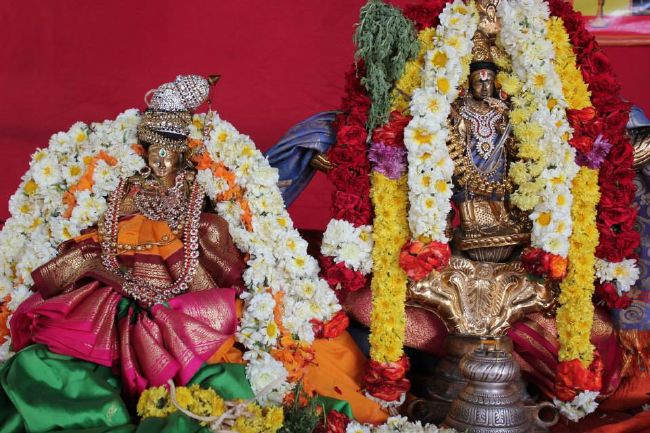 Perungalathur Sri Maha Koti Sudharshana Homam 2015-03