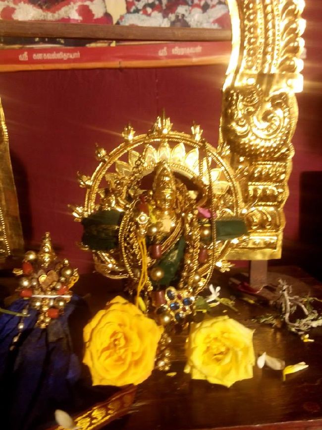 Perungalathur Sri Maha Koti Sudharshana Homam 2015-15