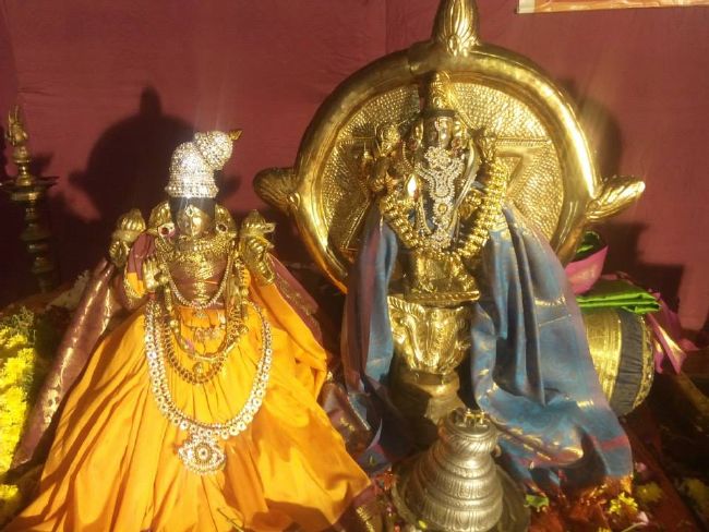 Perungalathur Sri Maha Koti Sudharshana Homam 2015-35