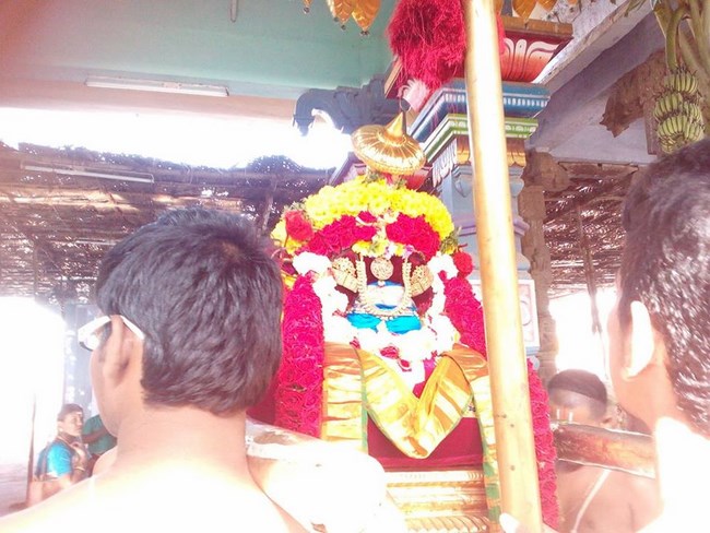 Poovirundavalli Sri Varadharaja Perumal Temple Thirukachi Nambigal Avathara Utsavam Commences12