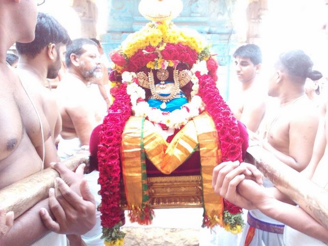 Poovirundavalli Sri Varadharaja Perumal Temple Thirukachi Nambigal Avathara Utsavam Commences14