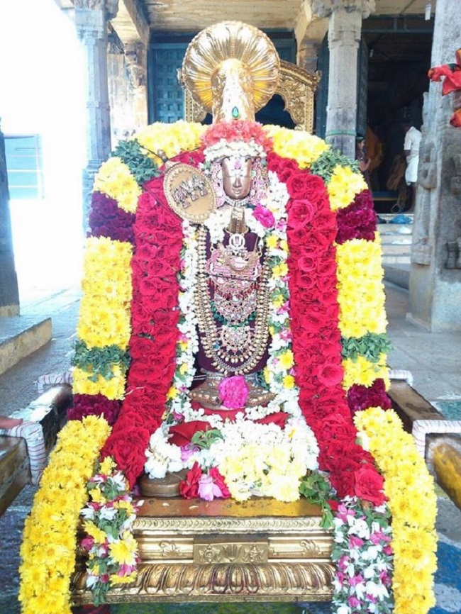 Poovirundavalli Sri Varadharaja Perumal Temple Thirukachi Nambigal Avathara Utsavam Commences16