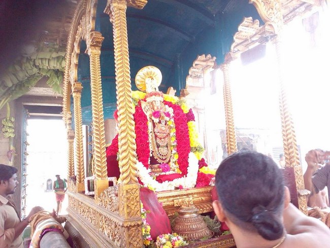 Poovirundavalli Sri Varadharaja Perumal Temple Thirukachi Nambigal Avathara Utsavam Commences7