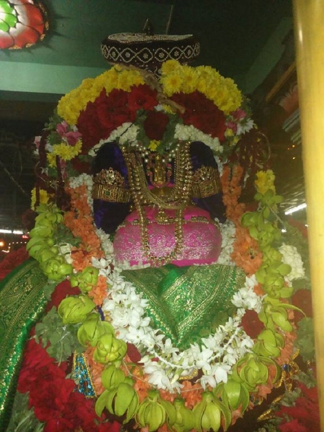 Poovirundavalli Sri Varadharaja Perumal Temple Thirukachi Nambigal Avathara Utsavam3