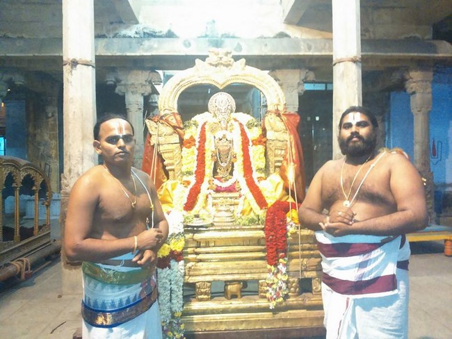 Poovirundavalli Sri Varadharaja Perumal Temple Thirukachi Nambigal Avathara Utsavam6