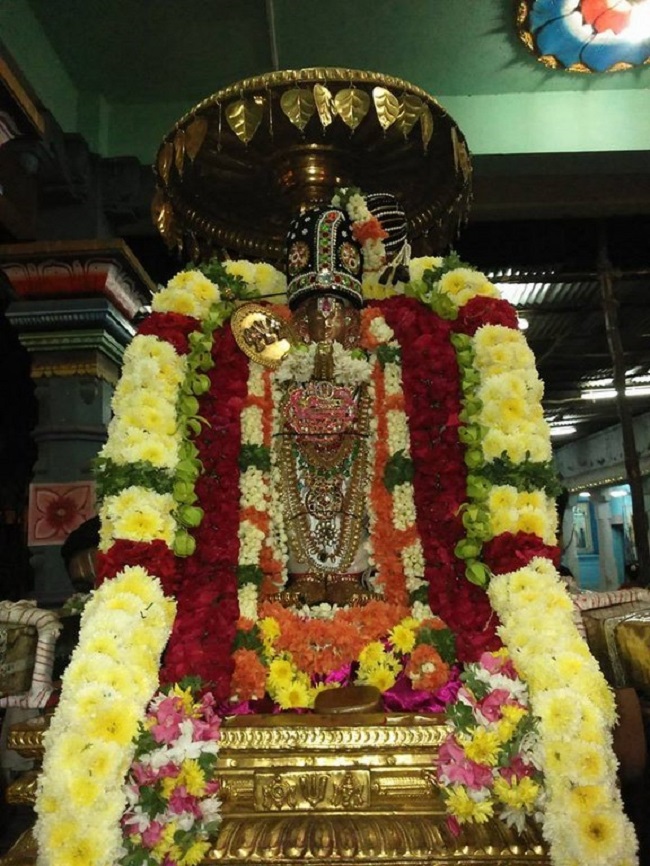 Poovirundavalli Sri Varadharaja Perumal Temple Thirukachi Nambigal Avathara Utsavam7