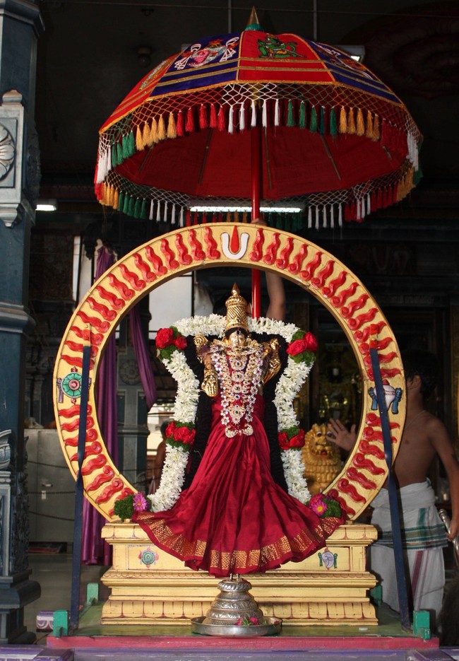 Pune Sri Balaji Mandir Rathasapthami Utsavam 2015-02