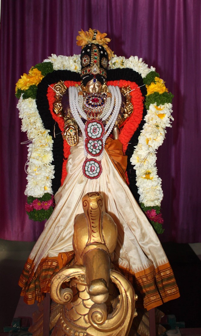Pune Sri Balaji Mandir Rathasapthami Utsavam 2015-07