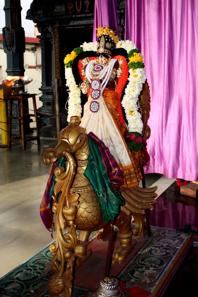 Pune Sri Balaji Mandir Rathasapthami Utsavam 2015-08