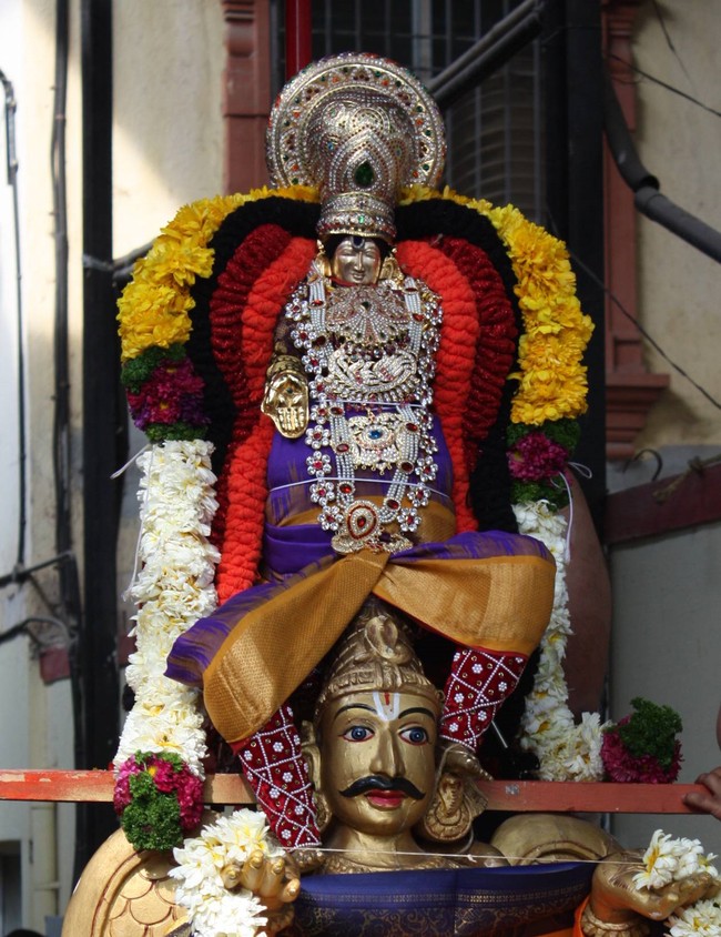 Pune Sri Balaji Mandir Rathasapthami Utsavam 2015-16