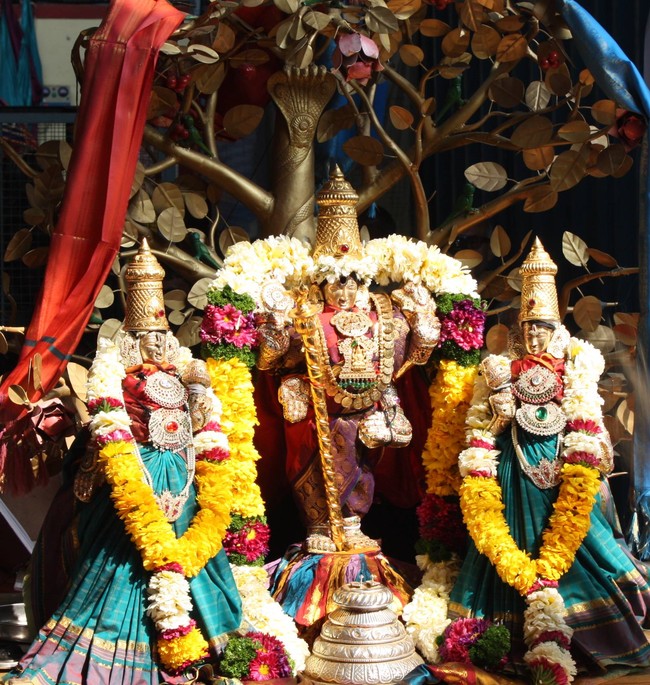 Pune Sri Balaji Mandir Rathasapthami Utsavam 2015-26