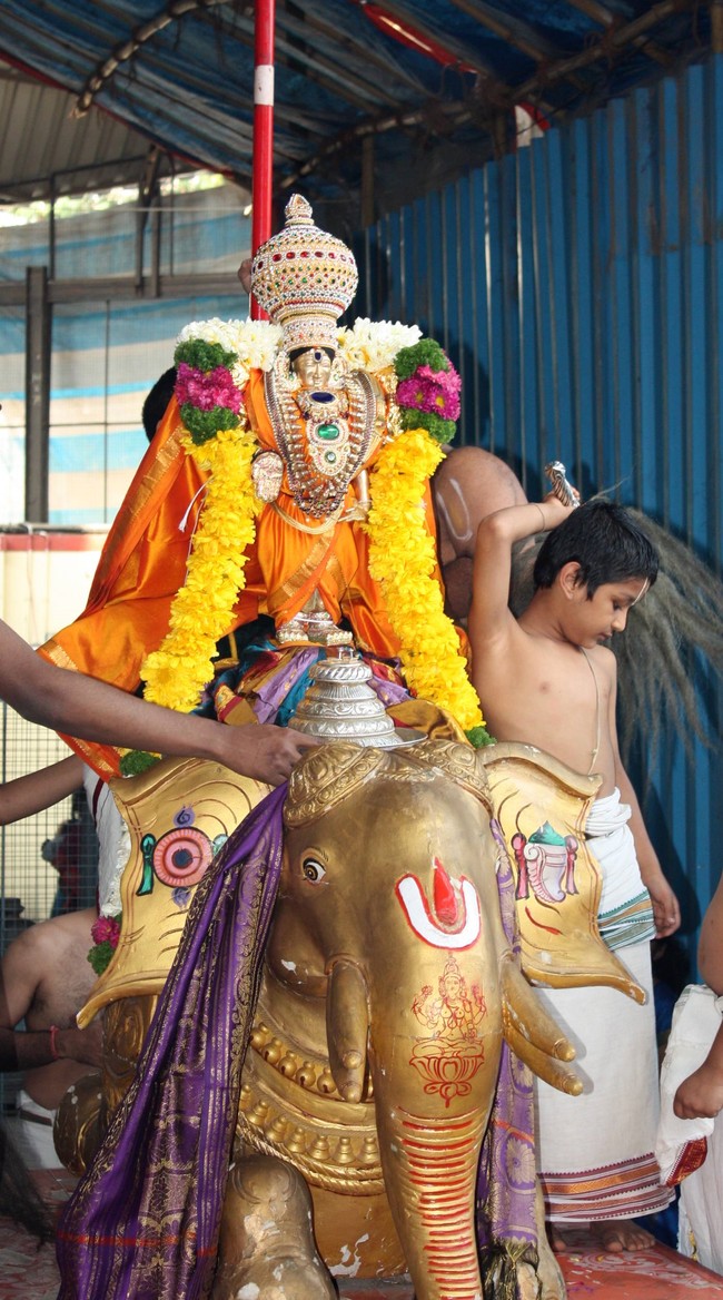 Pune Sri Balaji Mandir Rathasapthami Utsavam 2015-33