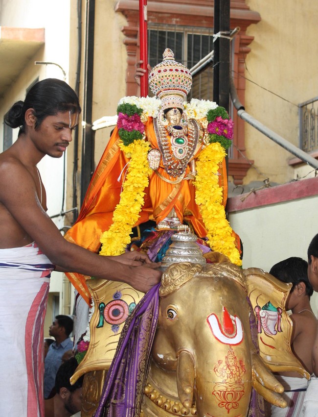 Pune Sri Balaji Mandir Rathasapthami Utsavam 2015-36