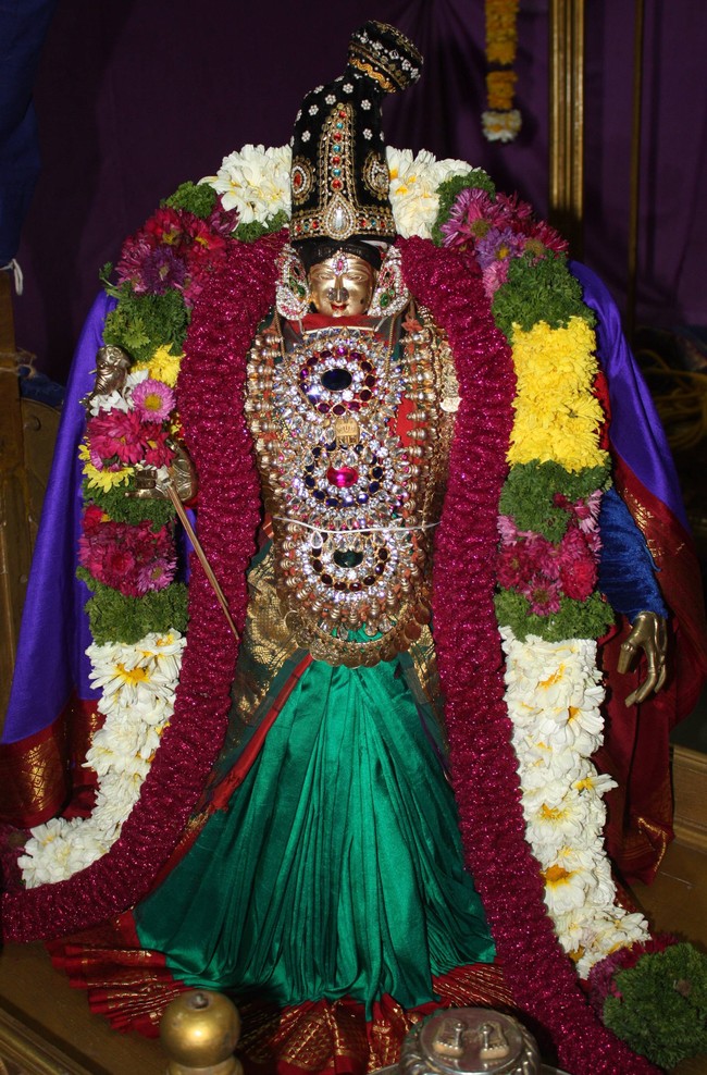 Pune Sri Balaji Mandir Rathasapthami Utsavam 2015-51
