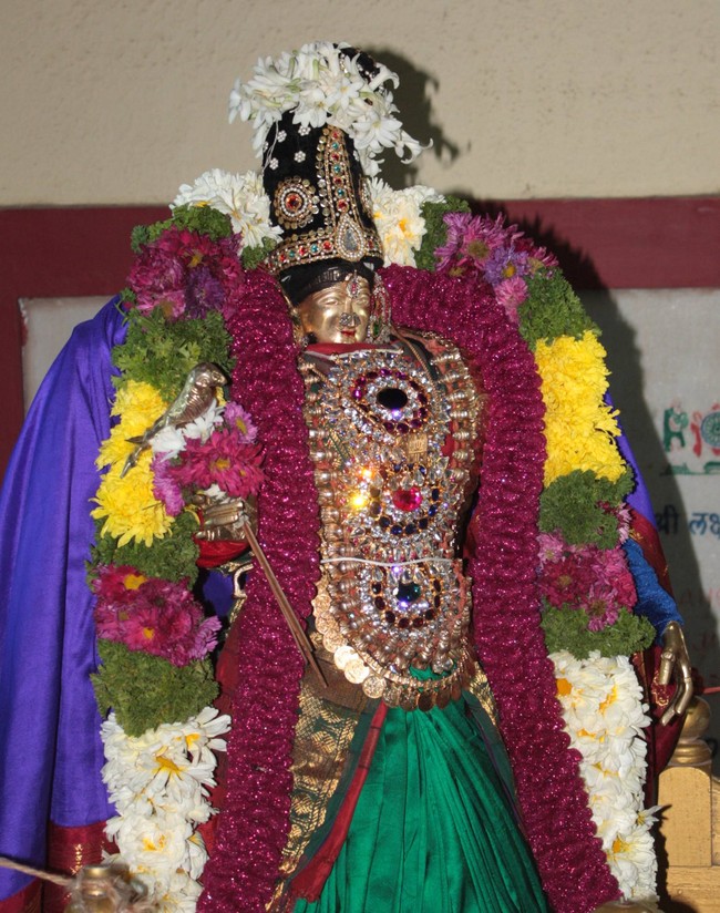Pune Sri Balaji Mandir Rathasapthami Utsavam 2015-54