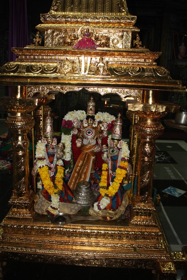 Pune Sri Balaji Mandir Rathasapthami Utsavam 2015-56