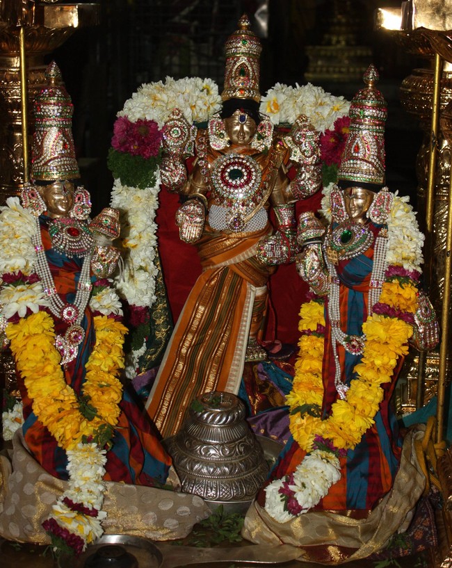 Pune Sri Balaji Mandir Rathasapthami Utsavam 2015-57