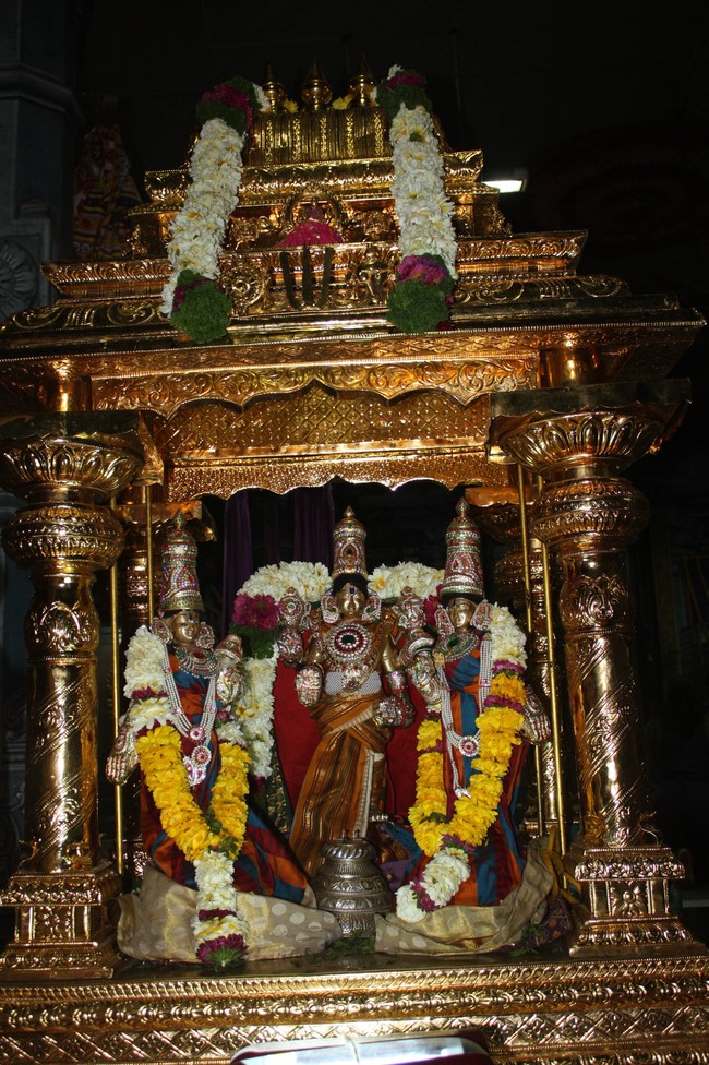 Pune Sri Balaji Mandir Rathasapthami Utsavam 2015-58