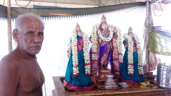SV Nagaram Srinivasa Perumal Temple Kalyana Utsavam  2015-03