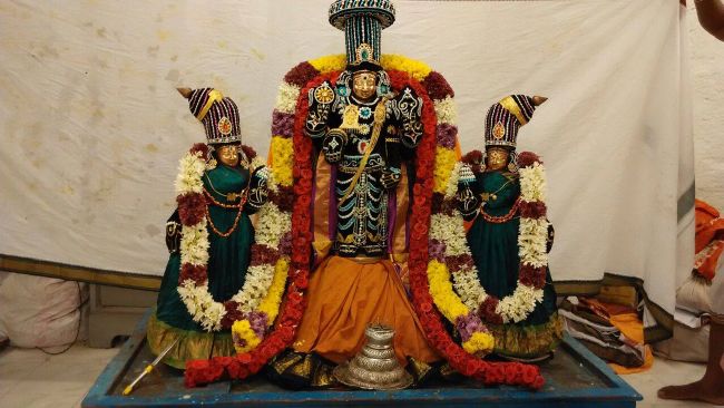 SV Nagaram Srinivasa Perumal Temple Kalyana Utsavam  2015-07
