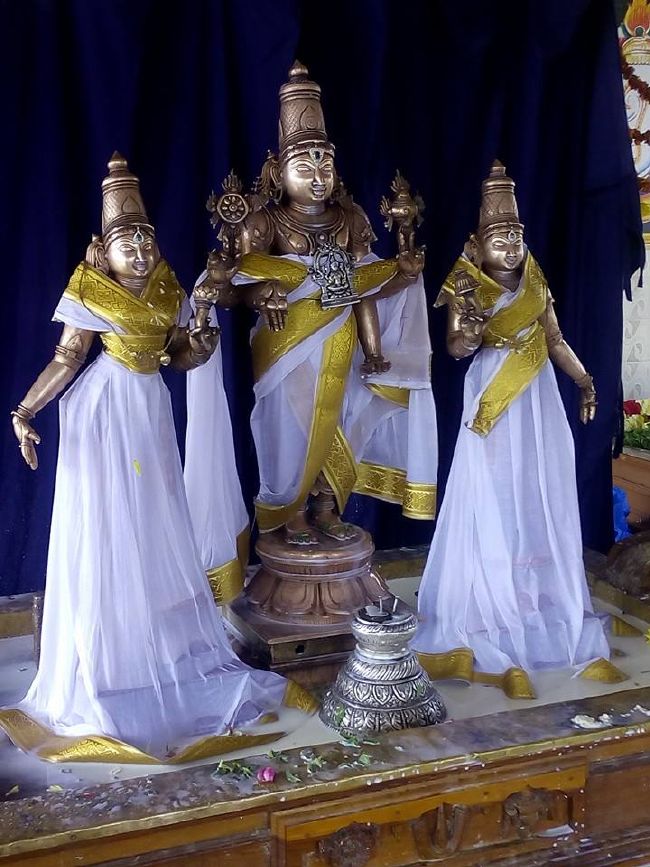 SV Nagaram Srinivasa Perumal Temple Kalyana Utsavam  2015-10
