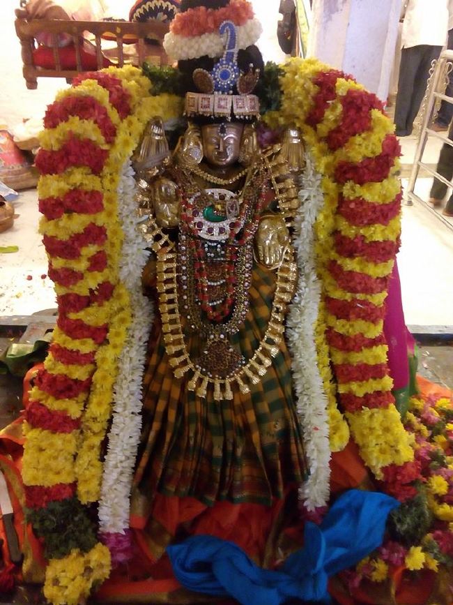 Satya Vijaya Nagara Sri Srinivasa Perumal Temple  Mattayadi Utsavam  2015-3