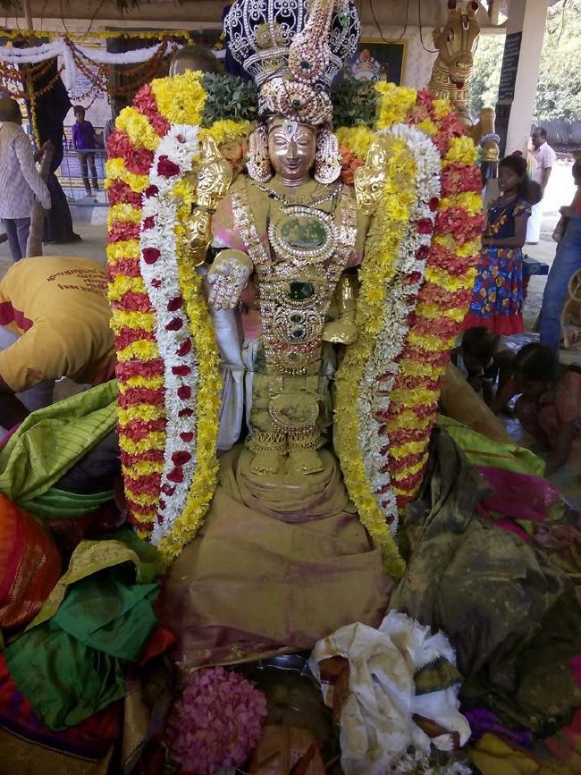 Satya Vijaya Nagara Sri Srinivasa Perumal Temple  Mattayadi Utsavam  2015-5