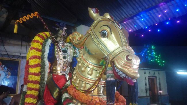 Satya Vijaya Nagara Sri Srinivasa Perumal Temple Vedupari Utsavam 2015-03
