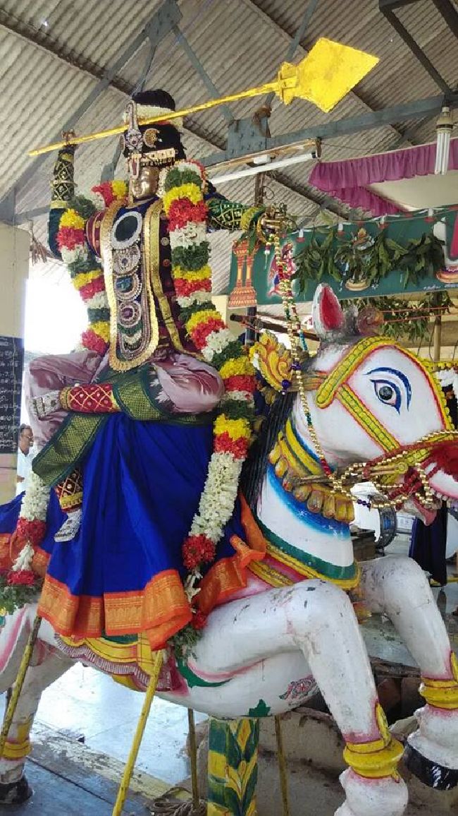 Satya Vijaya Nagara Sri Srinivasa Perumal Temple Vedupari Utsavam 2015-05