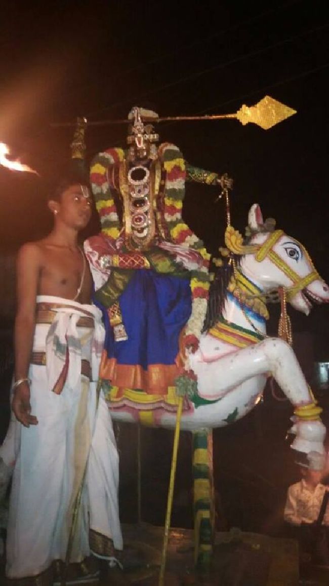 Satya Vijaya Nagara Sri Srinivasa Perumal Temple Vedupari Utsavam 2015-13