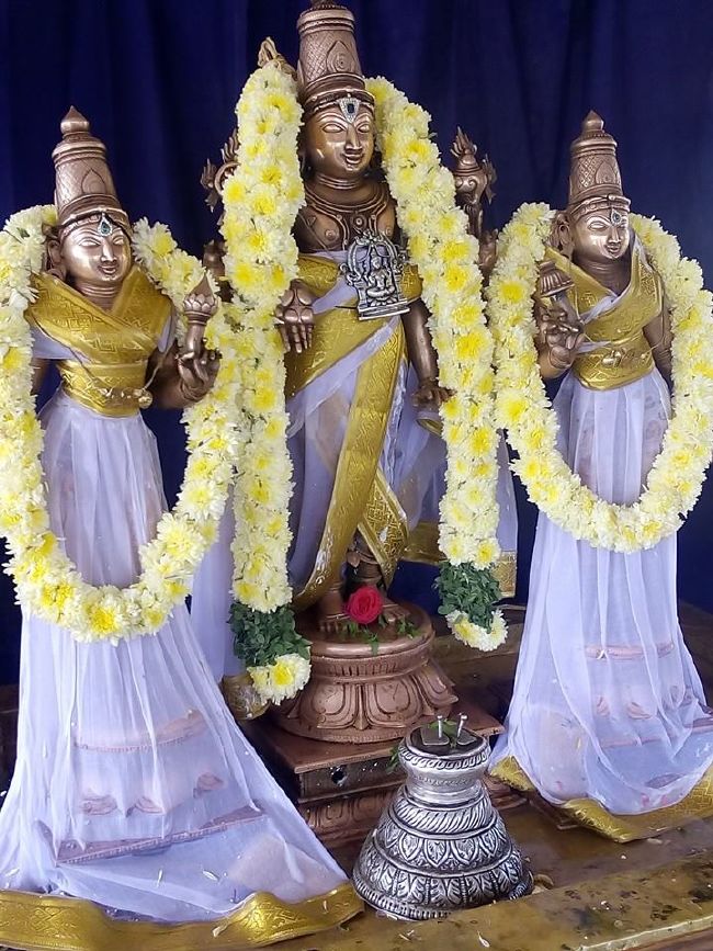 Satya Vijaya Nagara Sri Srinivasa Perumal Temple Vedupari Utsavam 2015-15