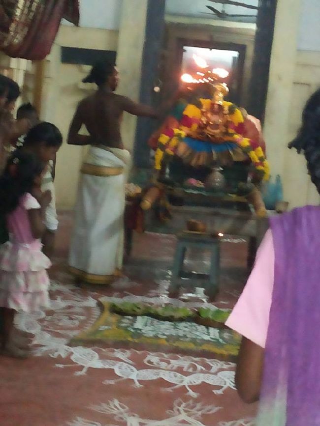 Sirupuliyur Sri Krupasamudra Perumal Temple  Thai Velli Purappadu   2015-6