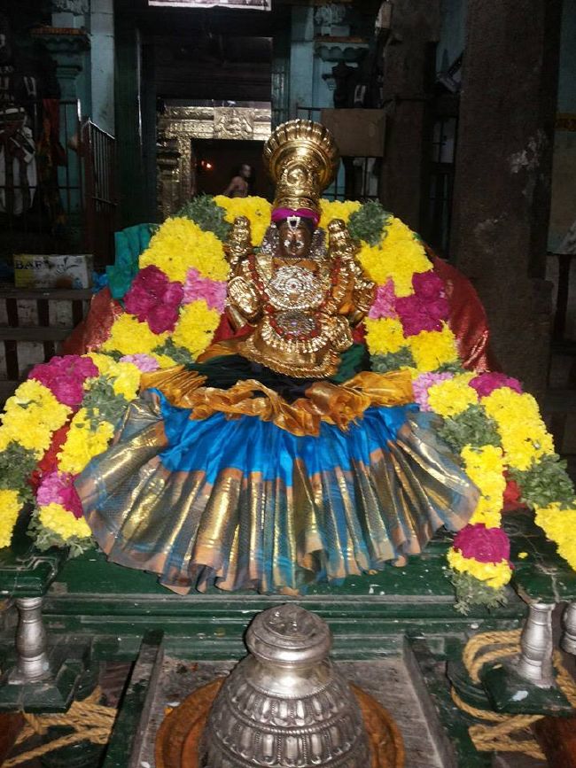 Sirupuliyur Sri Krupasamudra Perumal Temple  Thai Velli Purappadu   2015-7
