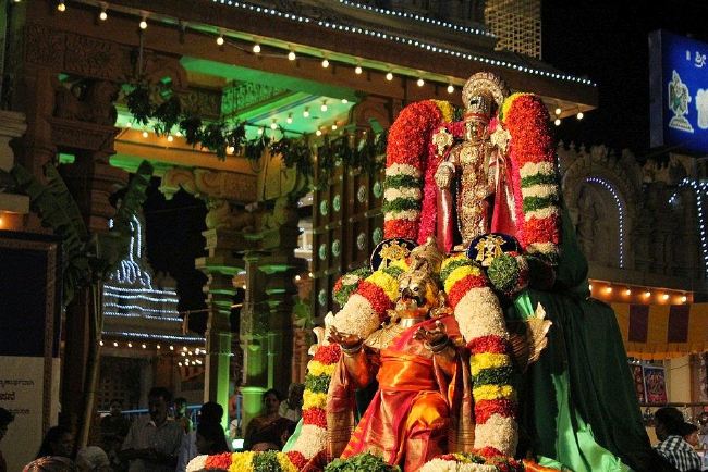Sree Tirumalagiri Lakshmi Venkateshwara Swamy Temple Jaya Varusha Brahmotsavam Day 2 gARUDA SEVAI  2015 -11
