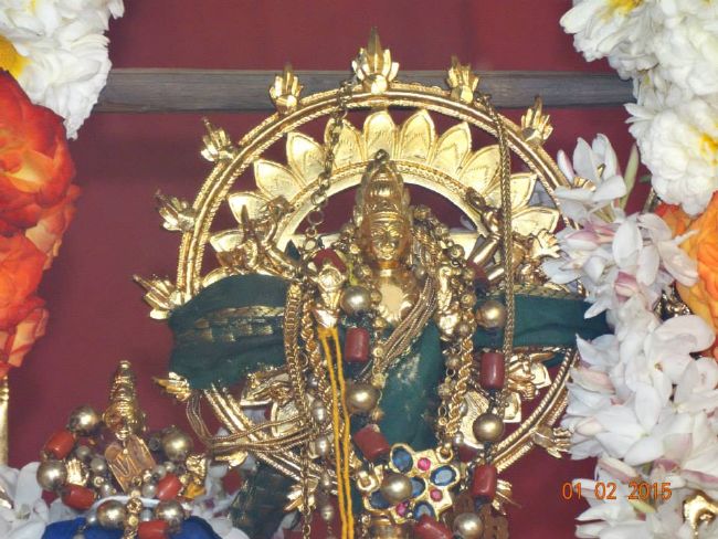 Sri Maha Sudharshana Koti Japa Yagyam At Perungalathur Concludes  2015 -31