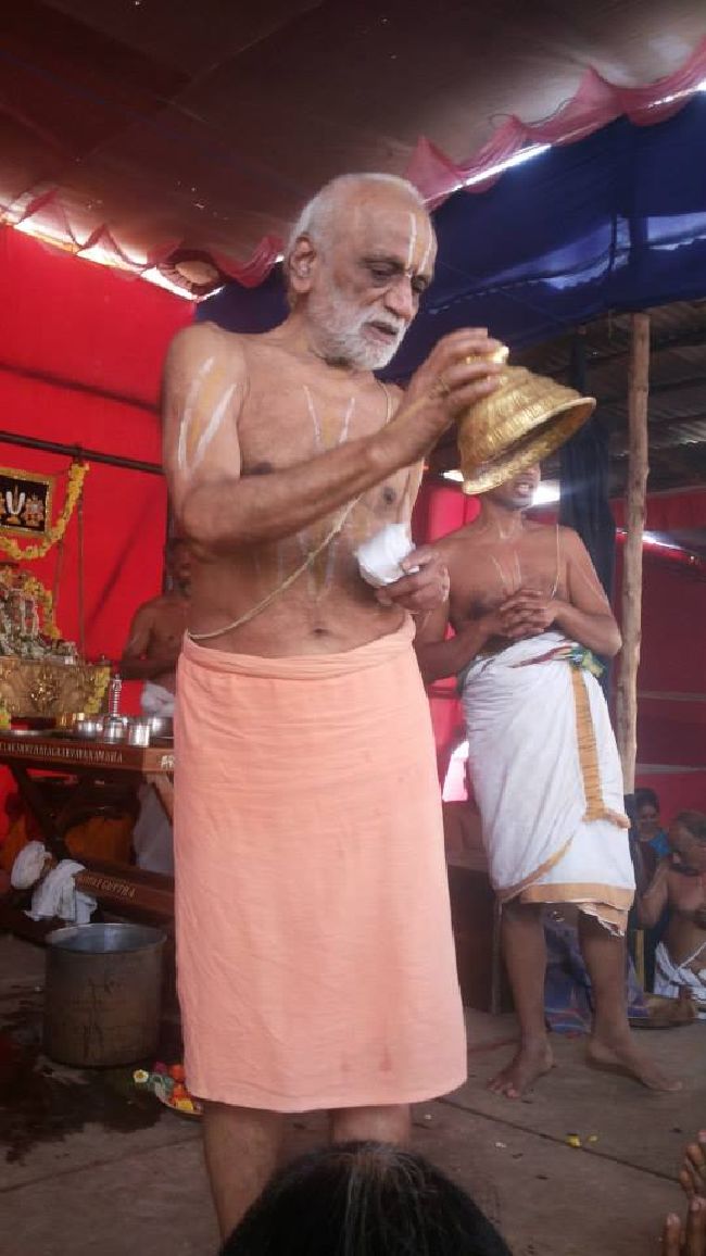 Sri Mahasdharshana Koti Yagyam day 3 2015-47