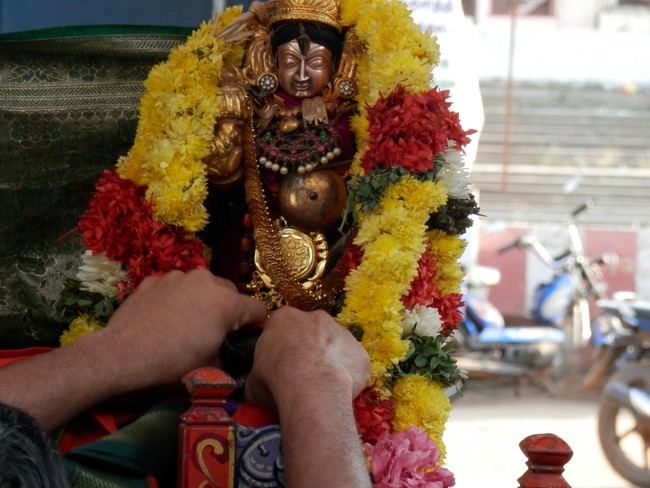 Sriperumpudur Sri Srinivasa Perumal Temple Jaya varusha Thai Masi Kalyanotsavam 2015 -03