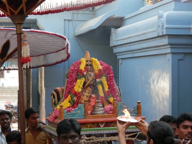 Sriperumpudur Sri Srinivasa Perumal Temple Jaya varusha Thai Masi Kalyanotsavam 2015 -06