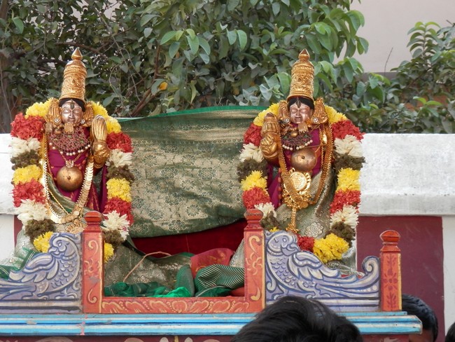 Sriperumpudur Sri Srinivasa Perumal Temple Jaya varusha Thai Masi Kalyanotsavam 2015 -12
