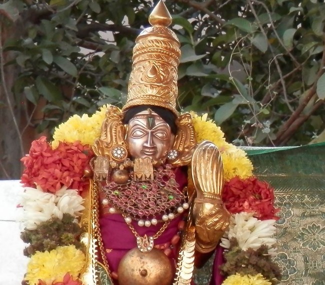 Sriperumpudur Sri Srinivasa Perumal Temple Jaya varusha Thai Masi Kalyanotsavam 2015 -13
